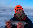 Ловля чехони зимой на Финском заливе с экспертами
