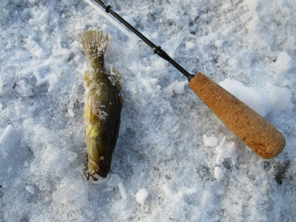 городская рыбалка зимой