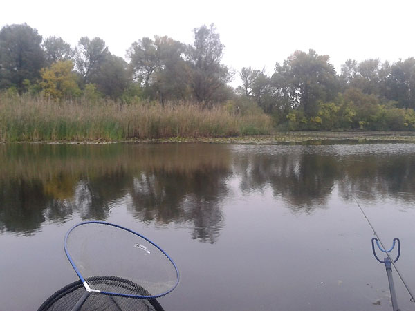 рыбалка на малых реках