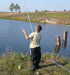 Рыбалка: поймай на удочку осколок солнца, ловля линя – увлекательное занятие 