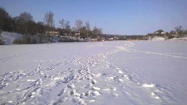 зимняя рыбалка на платном пруду