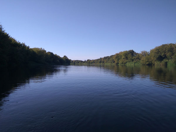 река Луга Ленобласть