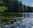 Ловля окуня на спиннинг летом на озерах – окуневый дневник