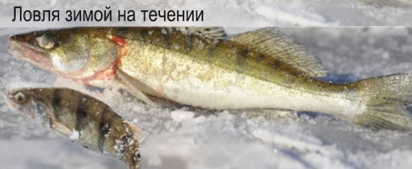 рыбалка зимой