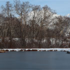 Ловля окуня на блесну зимой в отвес по открытой воде