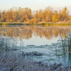 Поплавок, донка и подтяг – стратегии ловли на реке поздней осенью