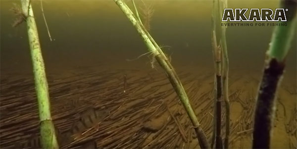 видео зимней рыбалки под водой